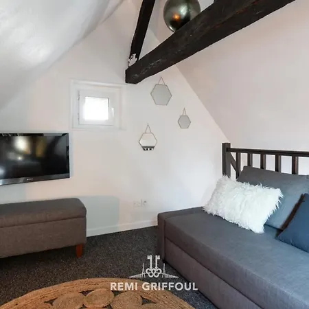 Le Phare Bleu Center & 2 To 4 Guests דירה *