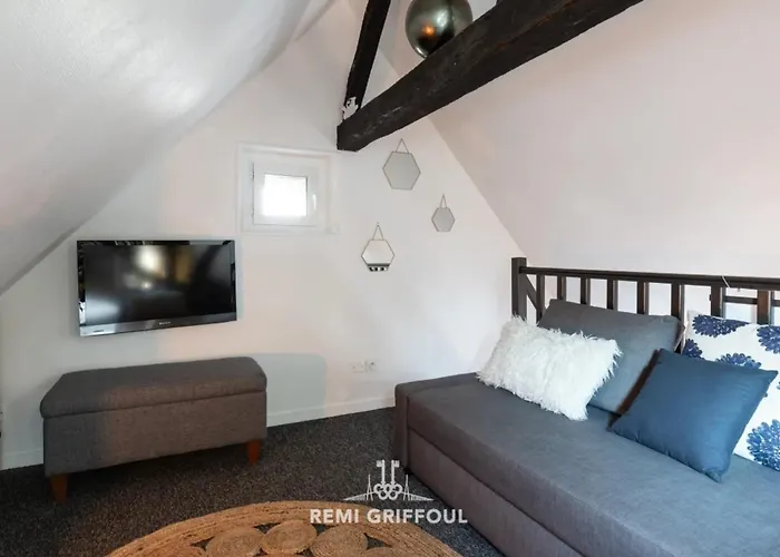 Le Phare Bleu Center & 2 To 4 Guests Апартаменты *